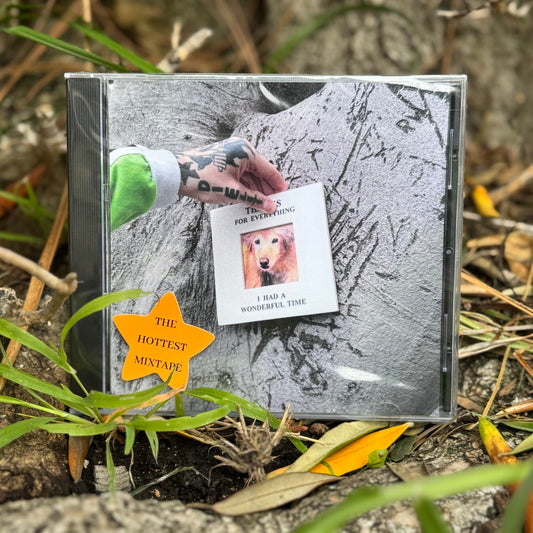 THANKS FOR EVERYTHING I HAD A WONDERFUL TIME *CD*