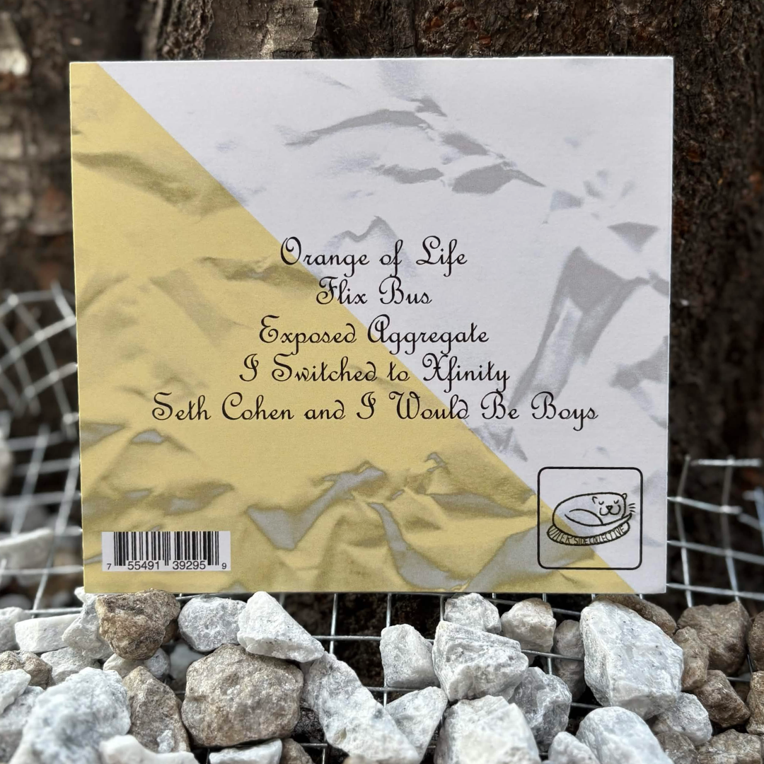 Back cover and five-track listing of Raves About Mandy – An Island For Safety EP CD