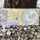 Open Raves About Mandy – An Island For Safety EP CD case showing the disc and illustrated inside artwork